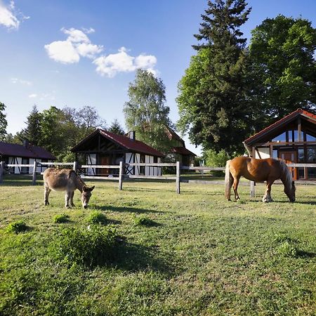 Pferdehof Schorfheide Villa ภายนอก รูปภาพ