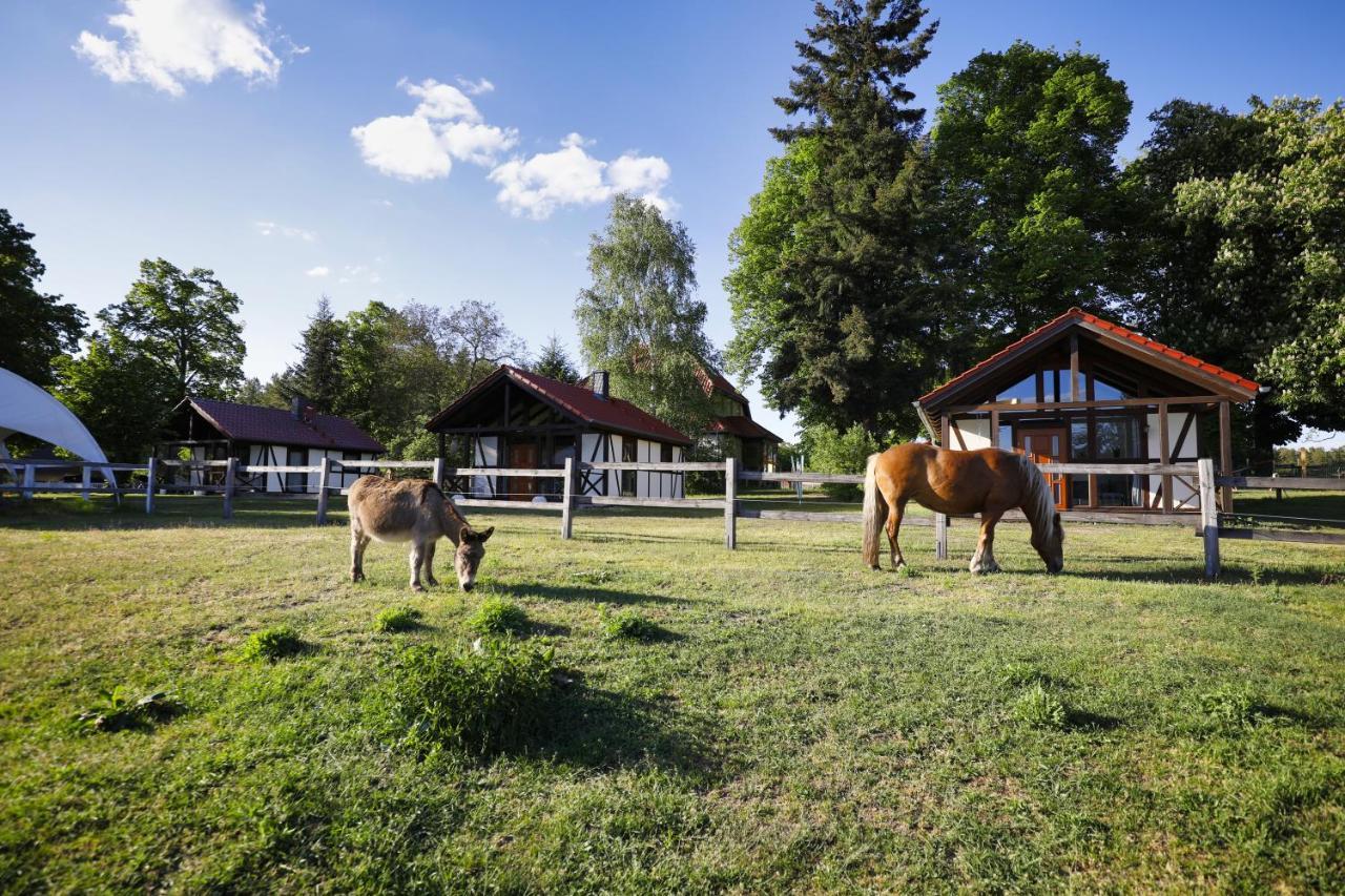 Pferdehof Schorfheide Villa ภายนอก รูปภาพ