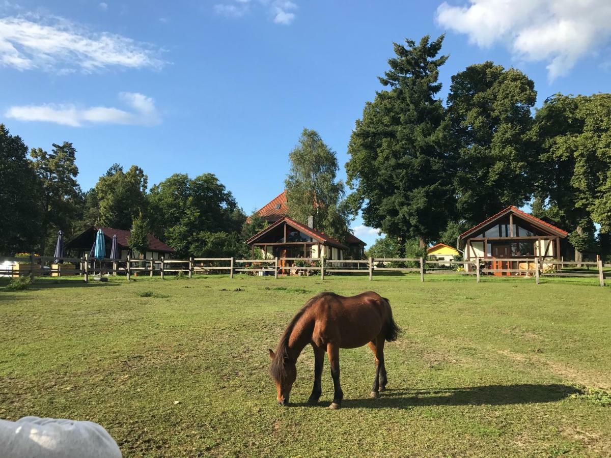 Pferdehof Schorfheide Villa ภายนอก รูปภาพ